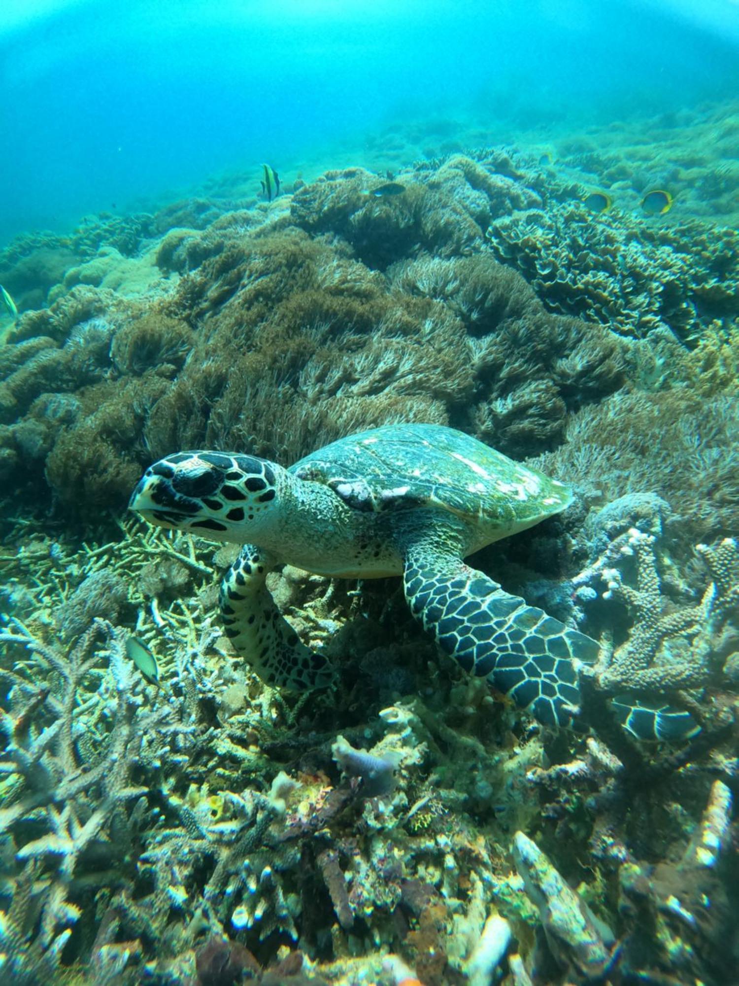D'Waktu In House Διαμέρισμα Lembongan Εξωτερικό φωτογραφία